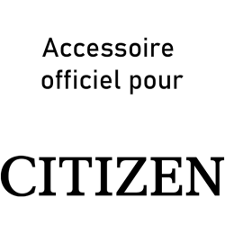 Alimentation électrique des véhicules citoyens (2000443)