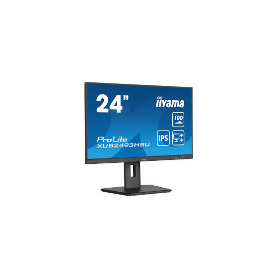 iiyama ProLite XUB2493HSU-B6, Full HD, USB, en kit (USB), noir