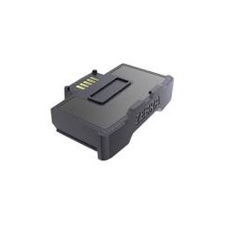 Batterie de rechange Zebra (BTRY-WS5X-13MA-01)